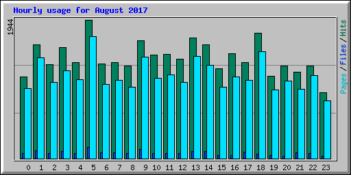 Hourly usage for August 2017